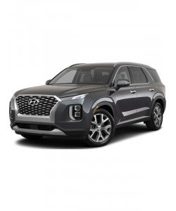 Hyundai Palisade 2.2L 10SW074223 B4LXD4NAICDIR202 (st1+egr+dpf+scr) Hyundai Palisade 2.2L 10SW074223 B4LXD4NAICDIR202 (st1+egr+dpf+scr)