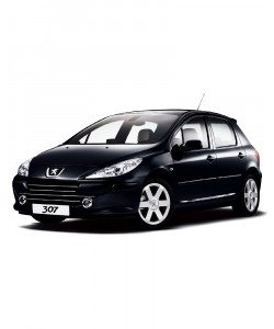 Peugeot 307 1.6 HW: 0261201610 SW: 1030382604 Peugeot 307 1.6 HW: 0261201610 SW: 1030382604